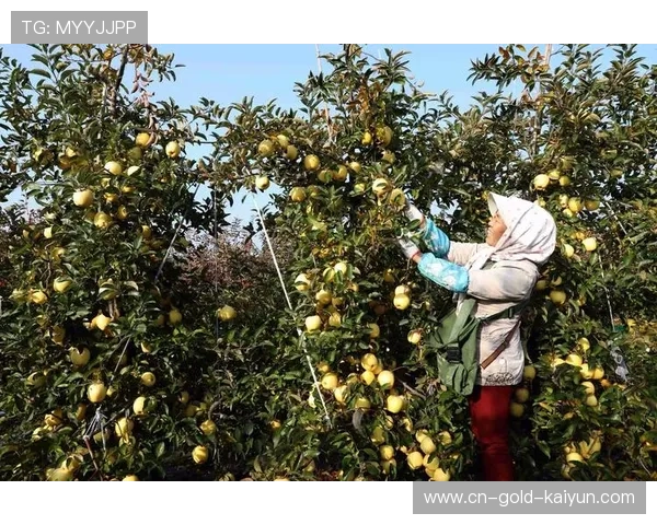 ✅体育直播🏆世界杯直播🏀NBA直播⚽- 水稻秋收忙、果园飘香、海鲜满舱 金秋“丰”景美如画展现万千气象- sports ✅体育直播🏆世界杯直播🏀NBA直播⚽- 水稻秋收忙、果园飘香、海鲜满舱 金秋“丰”景美如画展现万千气象- sports